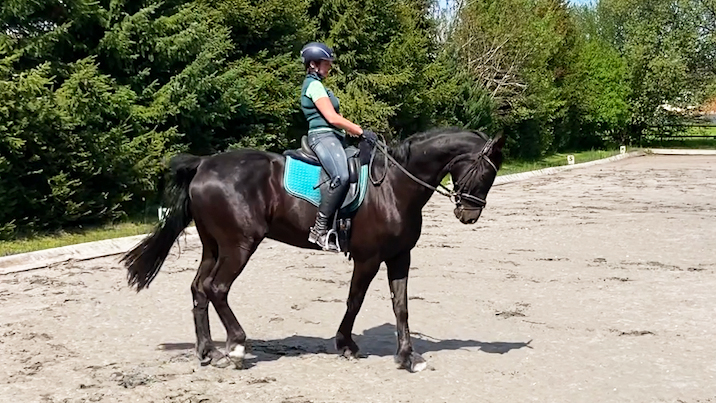 Kurzkehrt richtig reiten