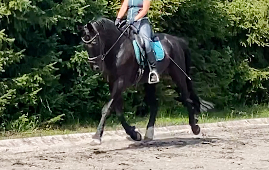 Mitteltrab richtig reiten