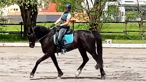Volten richtig reiten