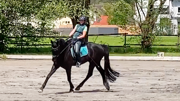 Volten richtig reiten